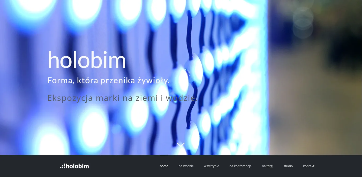 Podgląd strony holobim.pl
